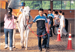 Riding sessions, leaders and sidewalkers, and therapists helping clients on a horse