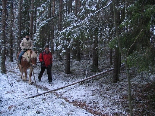 핀란드 승마치료사협회장인 Jyrki Nikannee가 눈 덮인 숲을 지나면서 클라이언트와 외승을 하는 모습