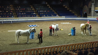 국제재활승마협회 총회중 말 엑스포가 진행되어 , 말을 훈련하는 모습을 보여주고 있음